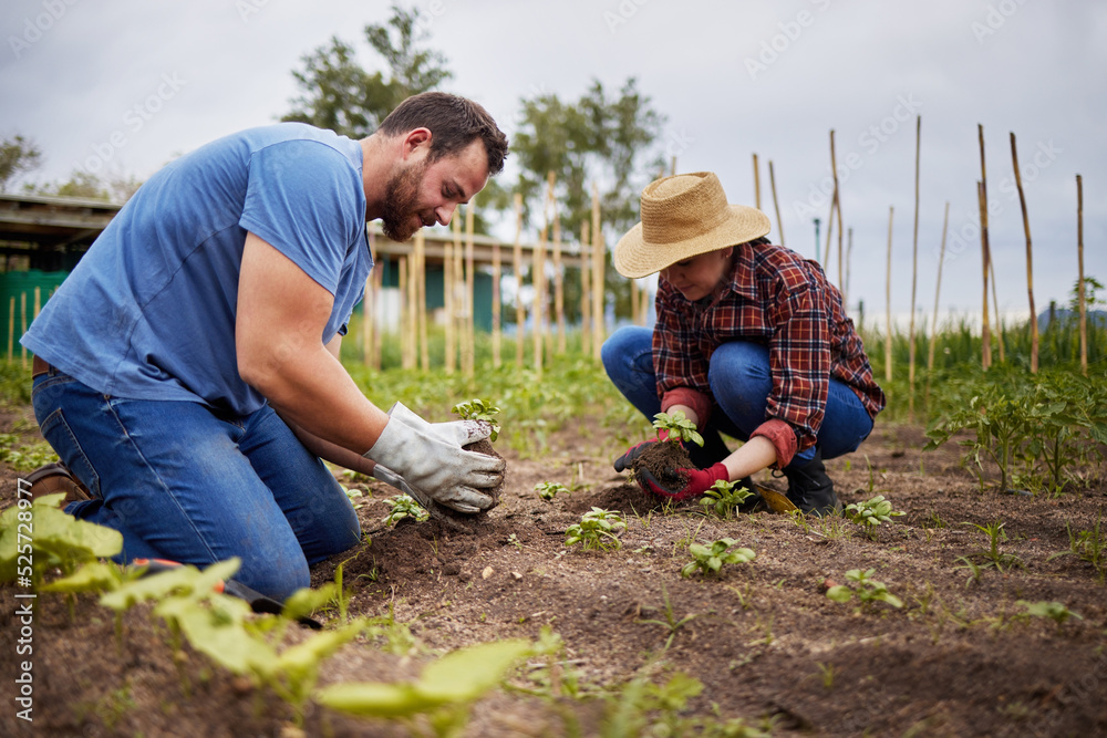 Couple planting, environment growth and countryside farmer with accountability on agriculture farm, 