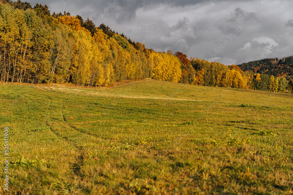 Autumn colorful landscape with green meadow pasture and yellow, orange and red trees. Fall in the co