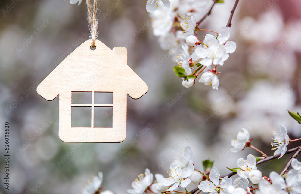 symbol of the house among the white cherry blossoms
