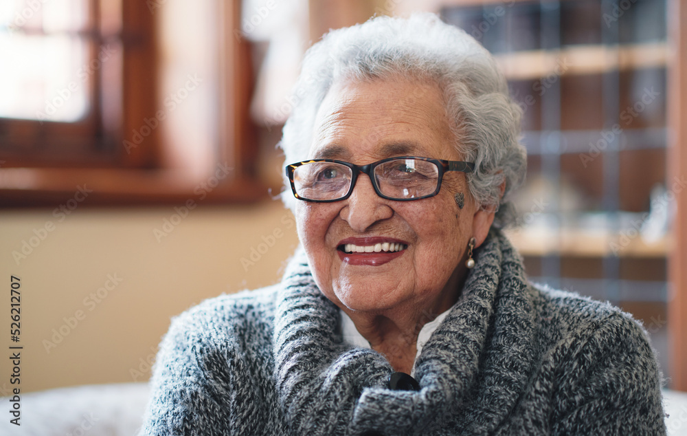 Portrait beautiful elderly woman smiling sitting on sofa at home enjoying retirement