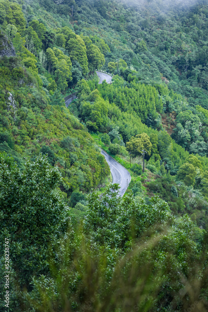 美丽的马德拉风景