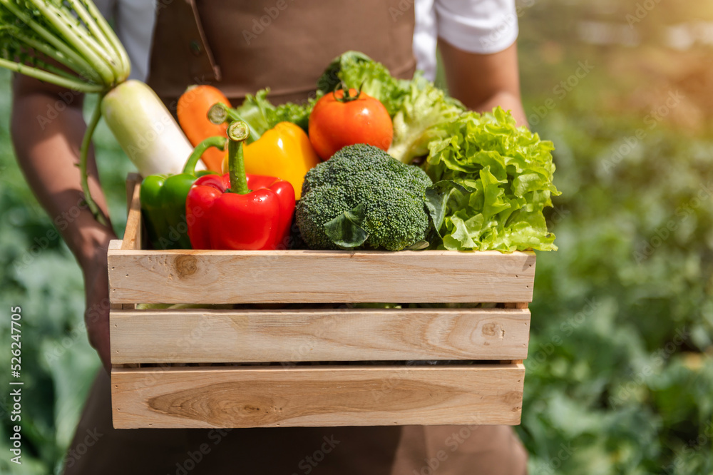 Farmer man holding wooden box full of fresh raw vegetables. Basket with fresh organic vegetable  and