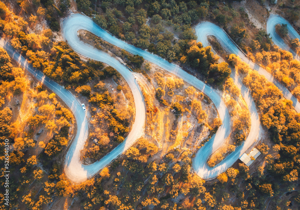 Aerial view of winding road in beautiful orange forest at sunrise in autumn. Top view of mountain ro