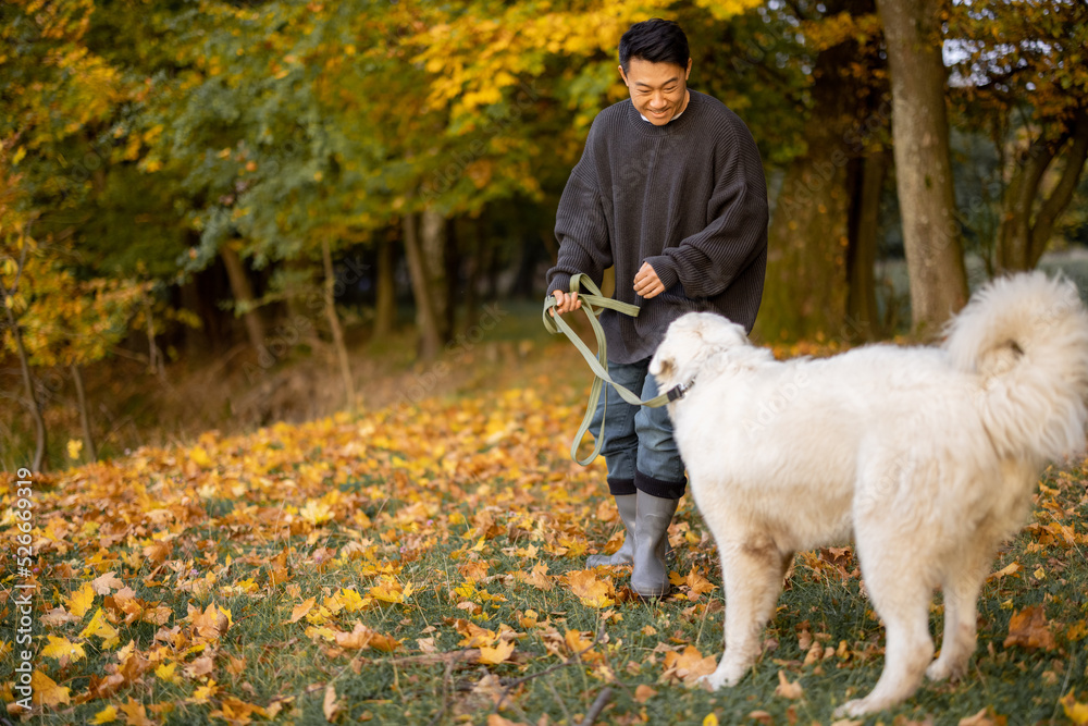 秋天的早晨，微笑的亚洲男子在河边或湖边与Maremmano Abruzzese Sheepdog玩耍