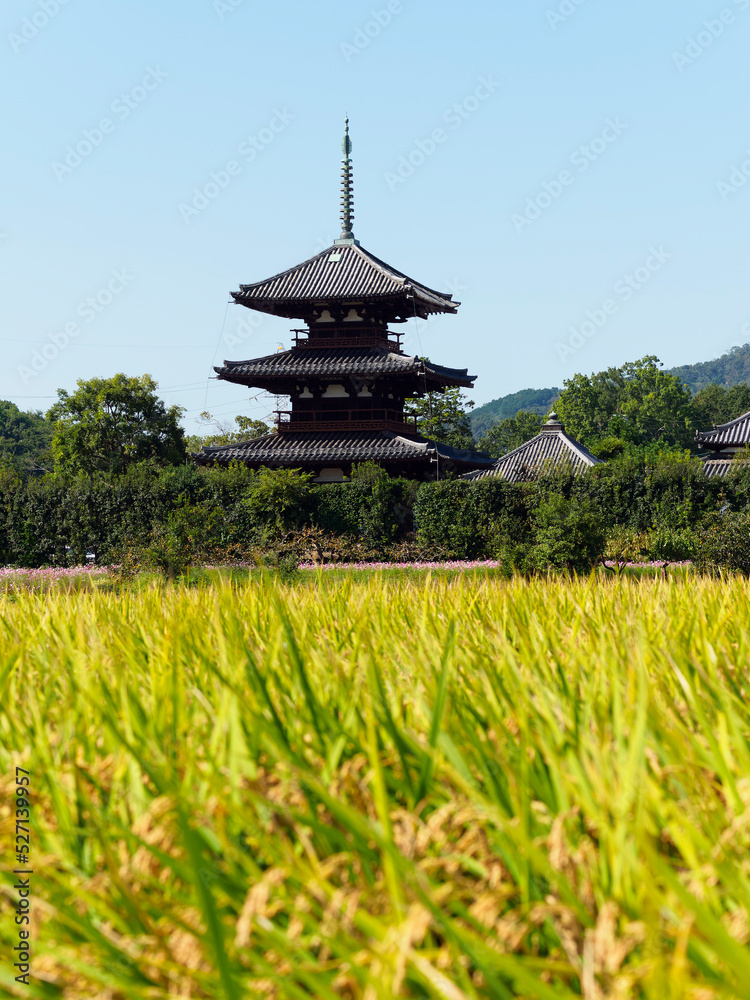 法起寺と実りを付けた稲穂の風景