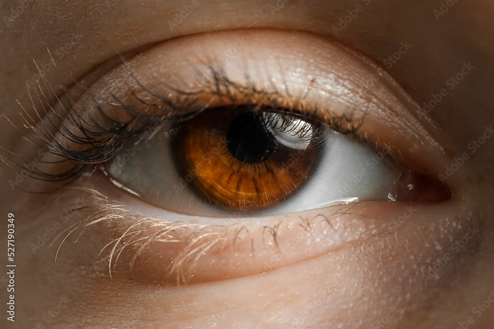 Young woman with brown eyes, closeup