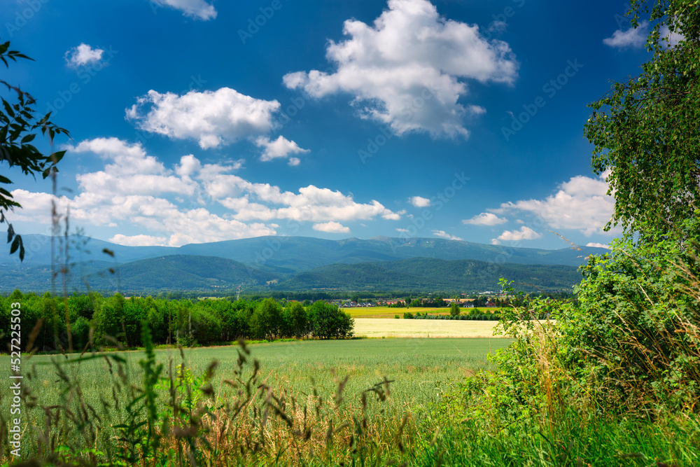 夏日阳光明媚的巨型山脉全景。波兰