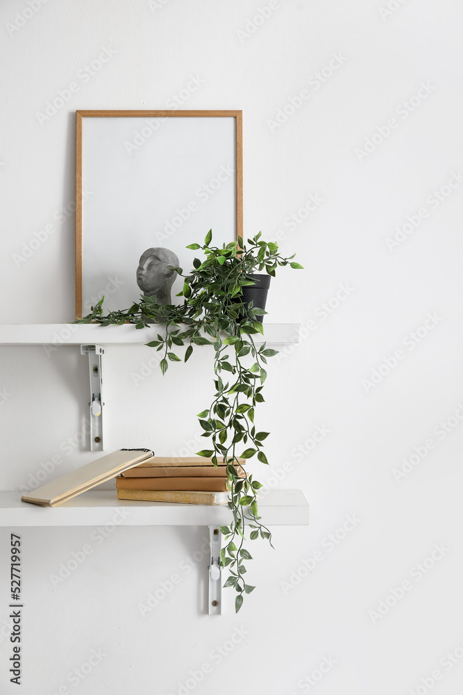 Shelves with books, frame and houseplant hanging on light wall