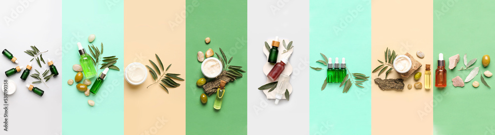 Cosmetics with olive oil extract on colorful background, top view