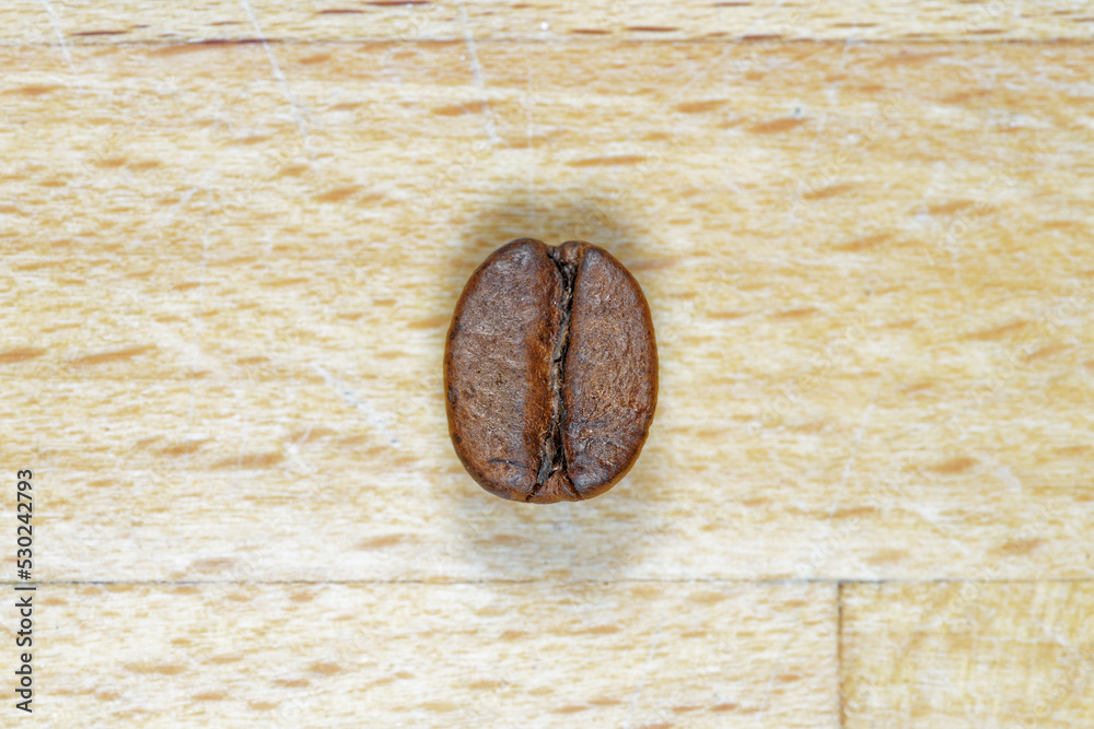 macro closeup of single coffee bean on wooden background