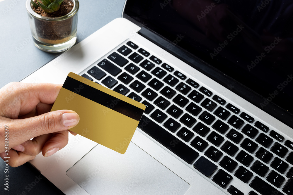 Composition of laptop, plant and hand holding credit card