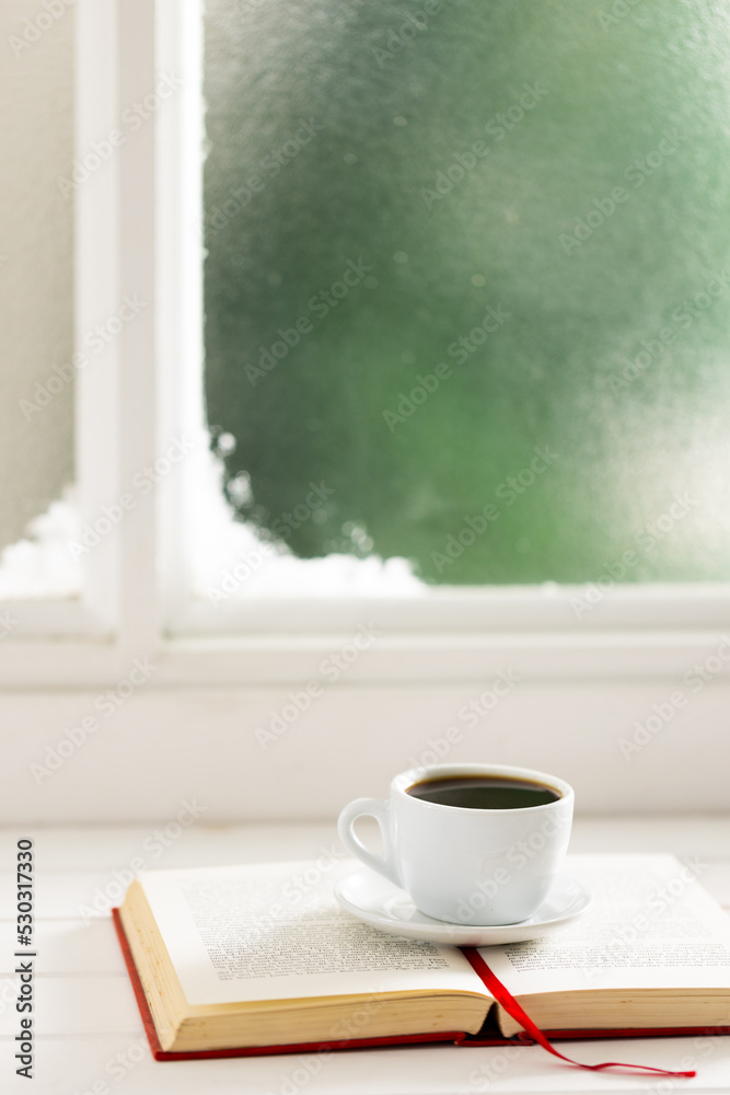 一杯热咖啡，在结冰和下雪的窗户上预订