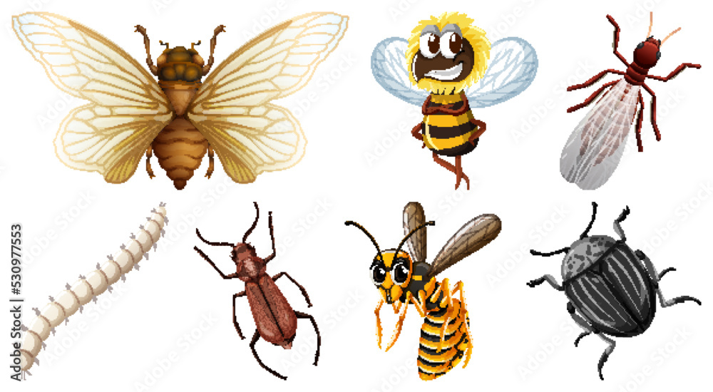 Collection of different insects vector