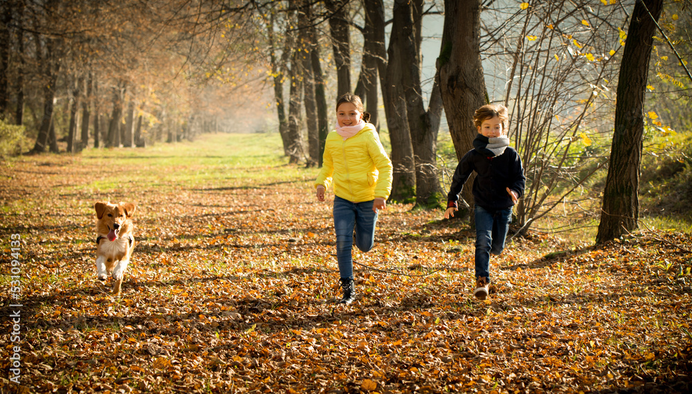 Children running among autumn leaves with dog in the park