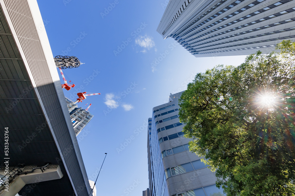 朝の光が綺麗な東京の街並み