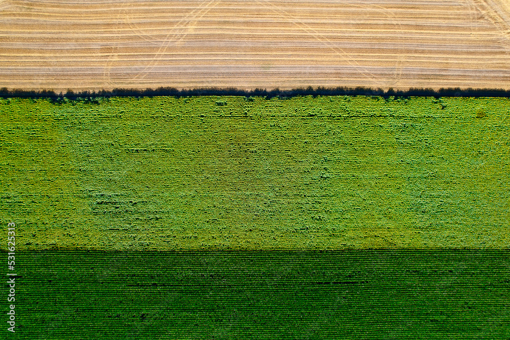 Aerial view of harvest of agricultural fields at village of Andelfingen, Canton Zürich, on a sunny s