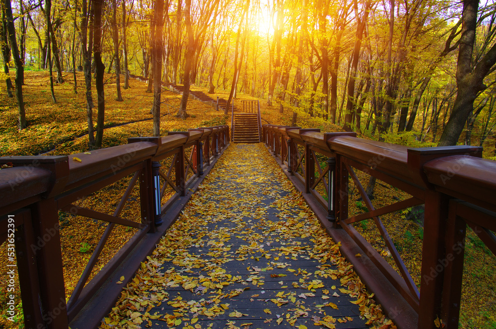 Autumn landscape in the forest with wooden bridge