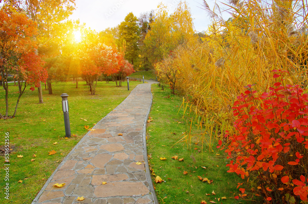 Autumn park with colorful fall foliage