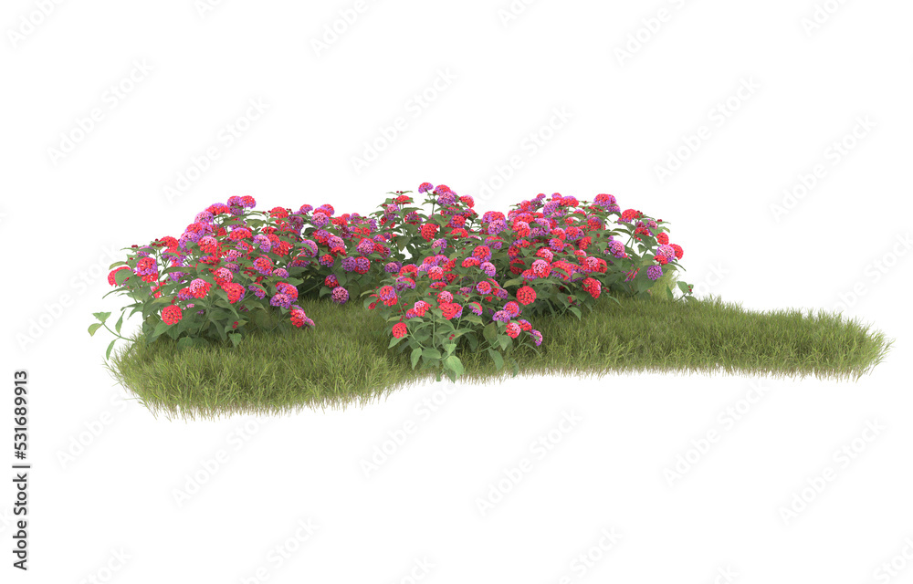 Grass on transparent background. 3d rendering - illustration