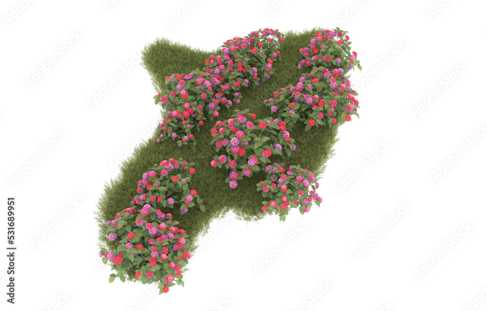 Grass on transparent background. 3d rendering - illustration