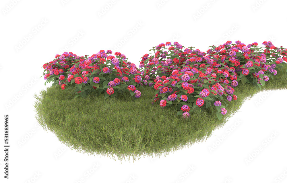 Grass on transparent background. 3d rendering - illustration