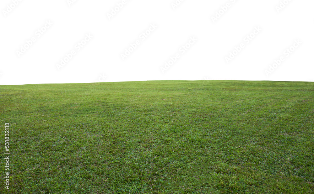 Green grass field background