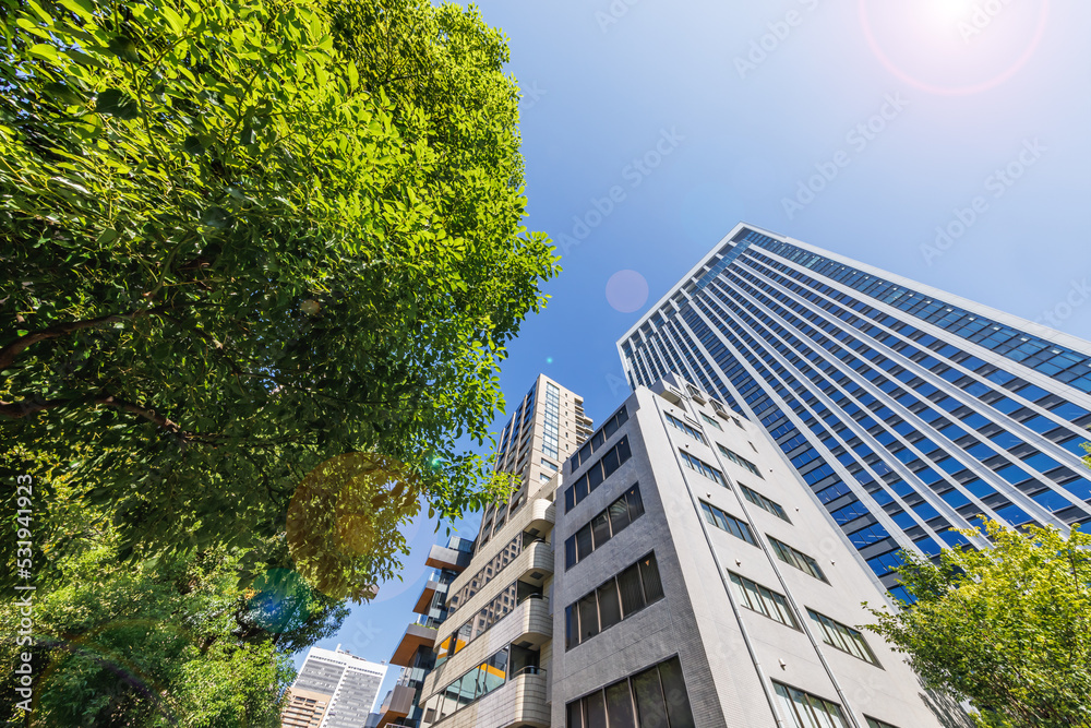 朝の光が綺麗な東京の街並み