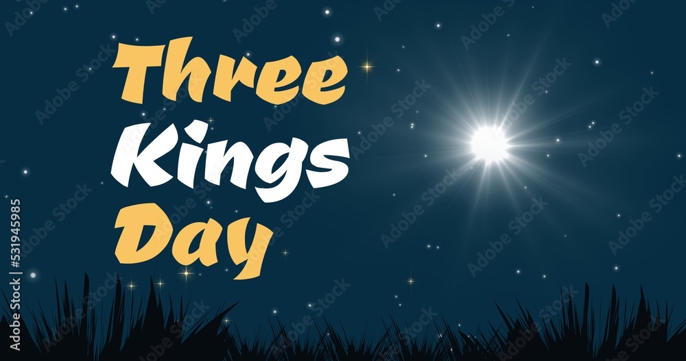 Illustration of three kings day text over grassy land against bright light beam and starry sky