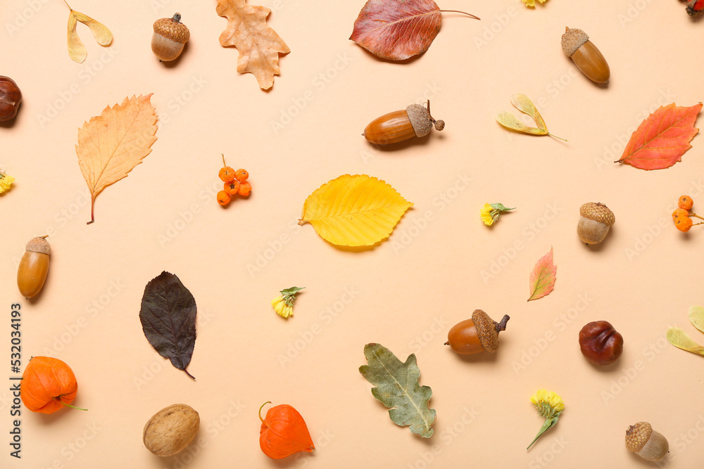 Beautiful autumn composition with acorns on color background