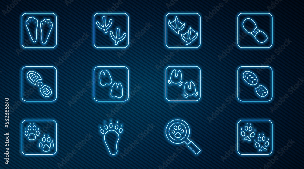 Set line Fox paw footprint, Human footprints shoes, Seagull, Camel, Rabbit and hare, Wild boar and D