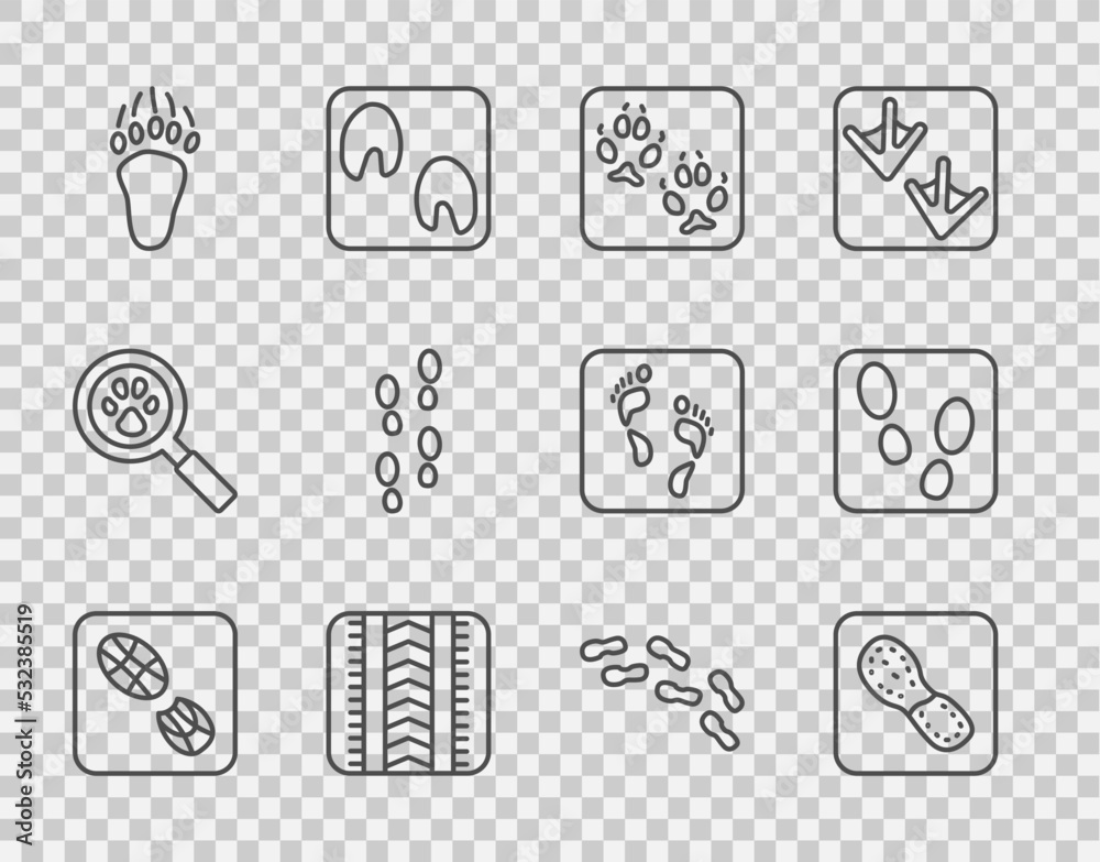 设定线人类足迹鞋、狐狸爪、轮胎轨迹、熊和图标。矢量