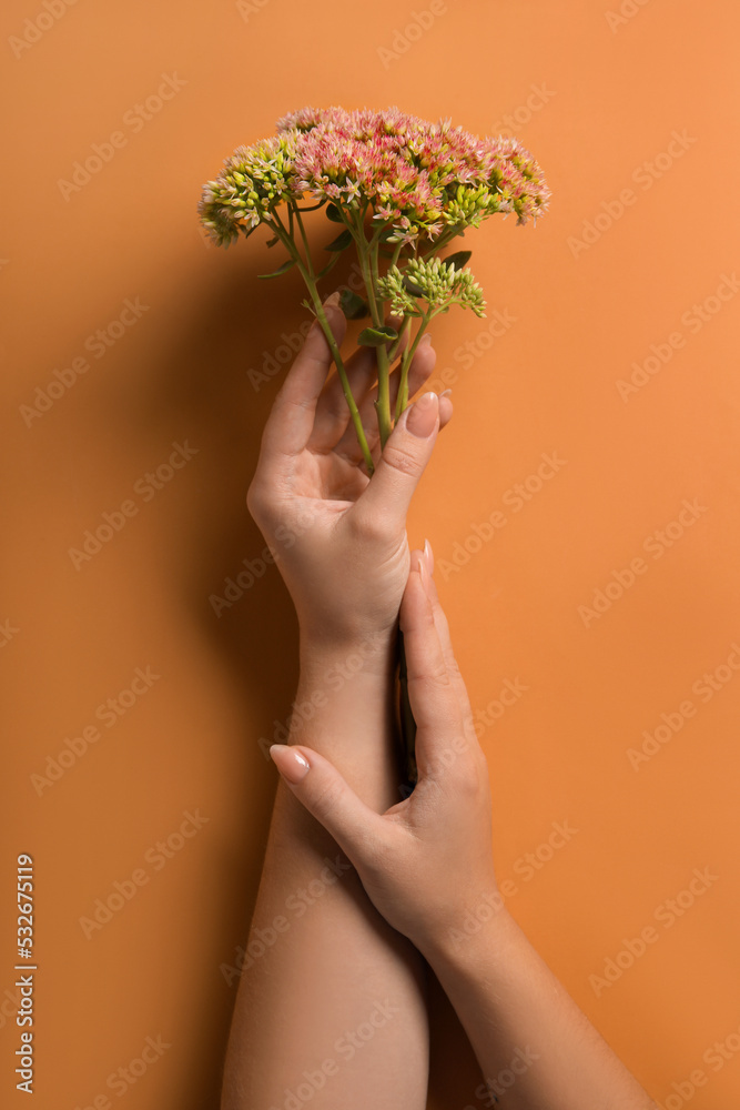 橙色背景下的女性双手和美丽花朵