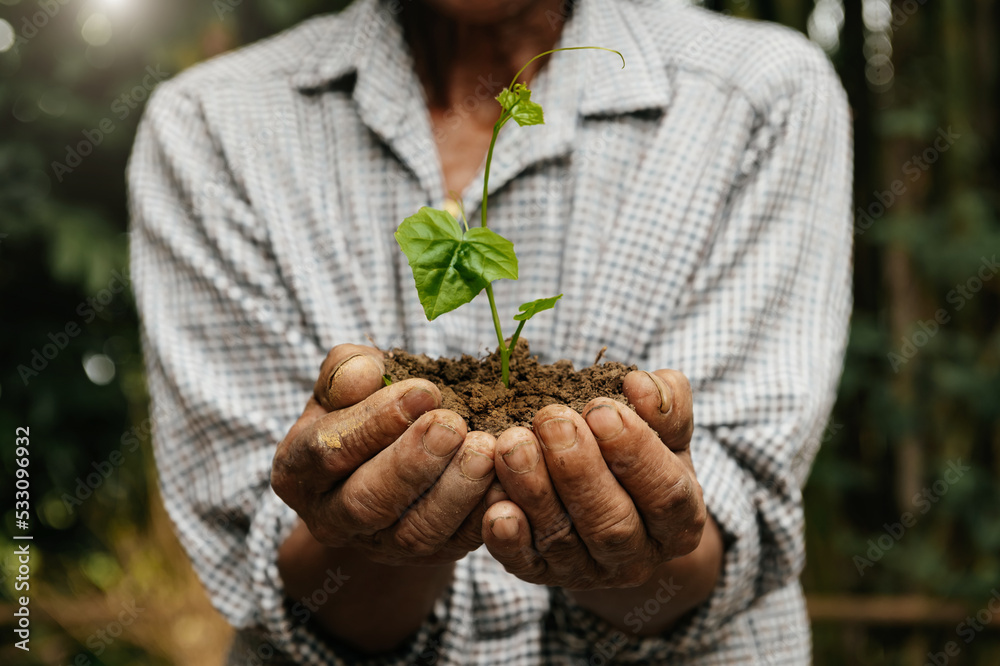 人类用植物抓地。农业和商业增长的概念。