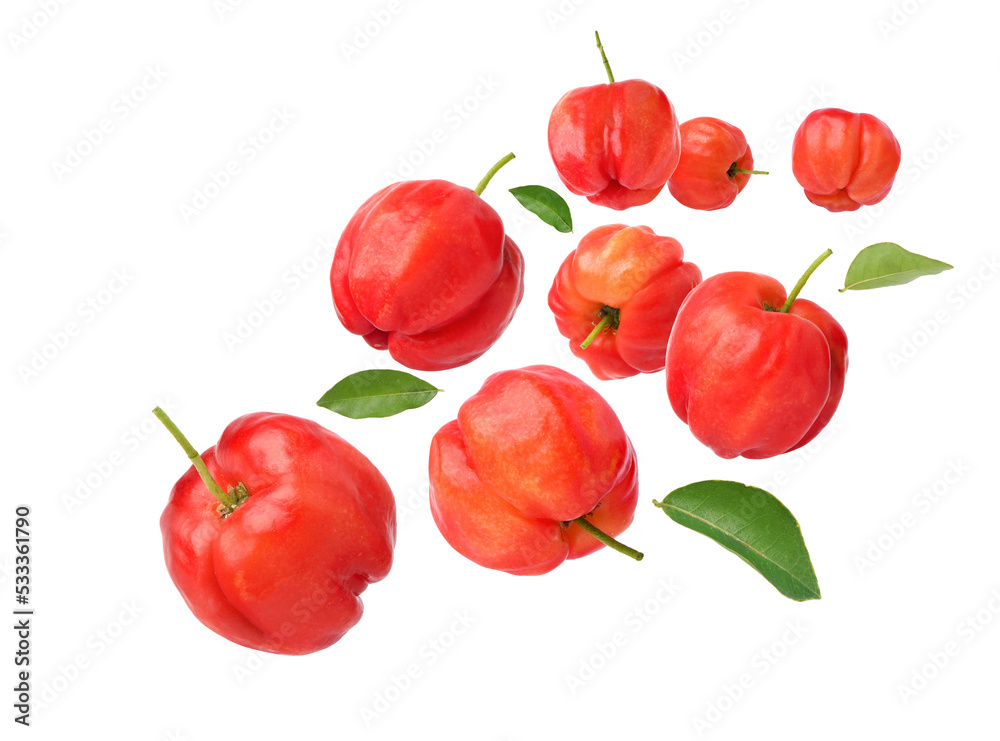 Acerola cherry with leaves  levitate isolated on white background. Clipping path.