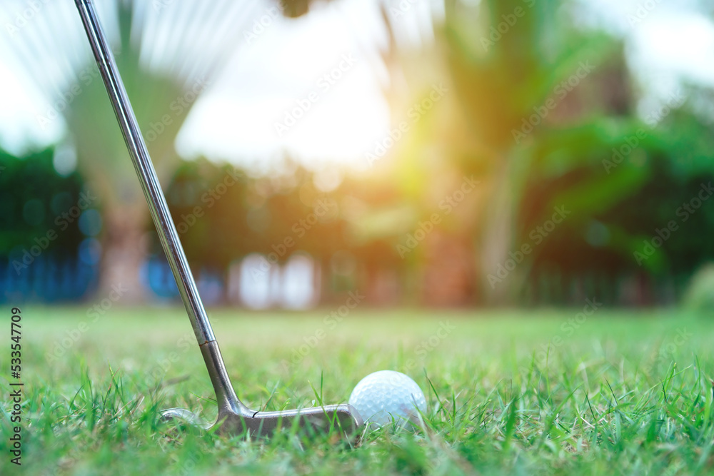 Putter and white golf ball on backyard green on sunset holiday