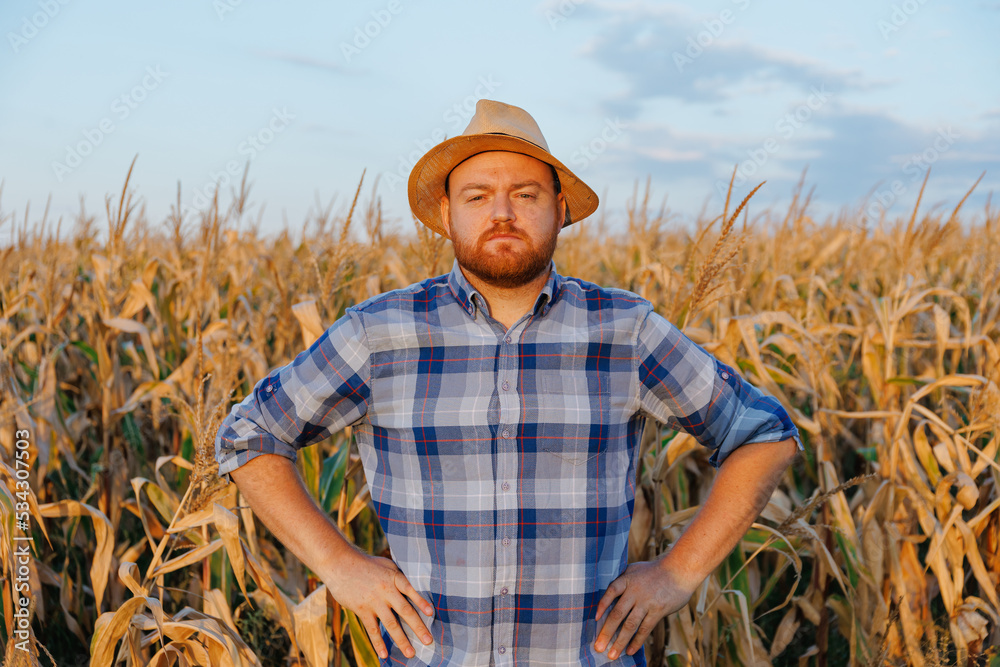 Young man farmer stands in the field, keeps his hands on his hips, front view, looking at camera. A 