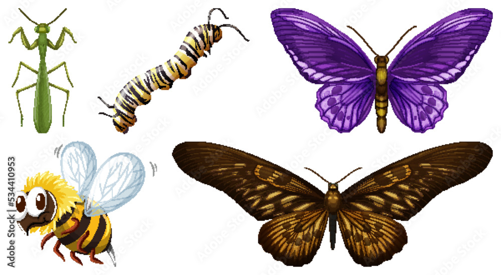 Set of different kinds of insects