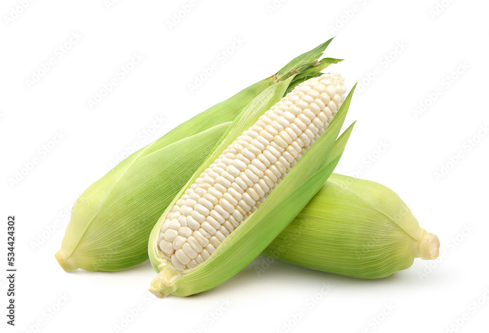 Fresh white corn isolated on white background. Clipping path.