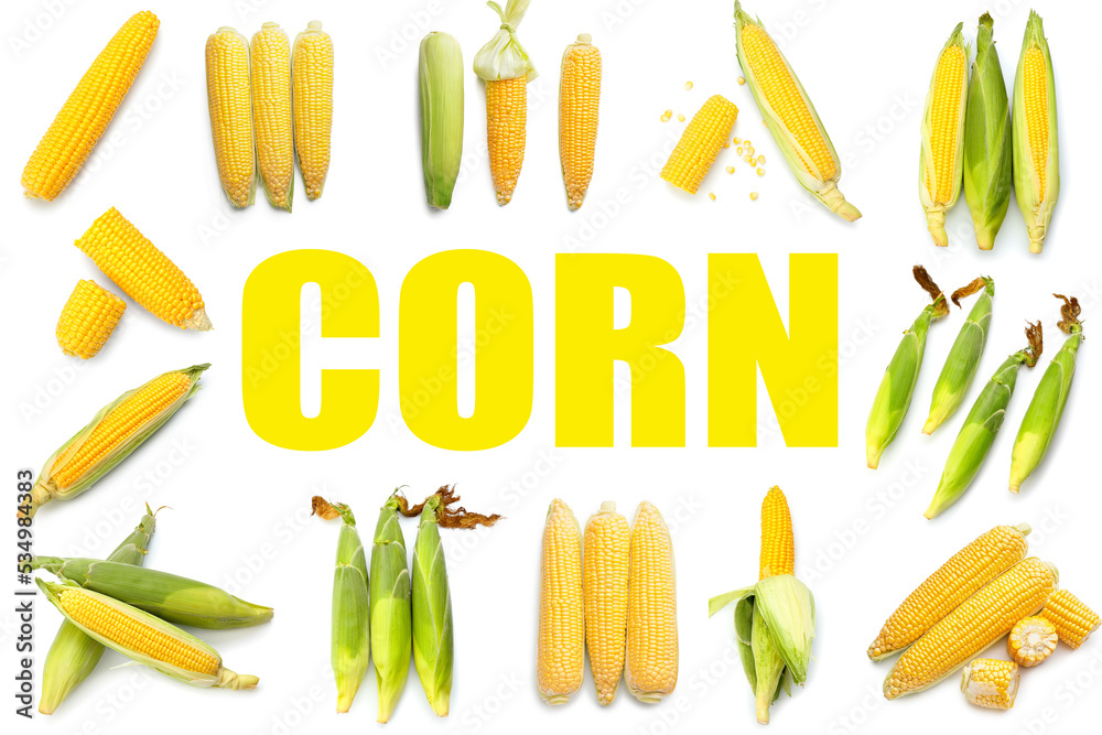 Collage with many corn cobs on white background