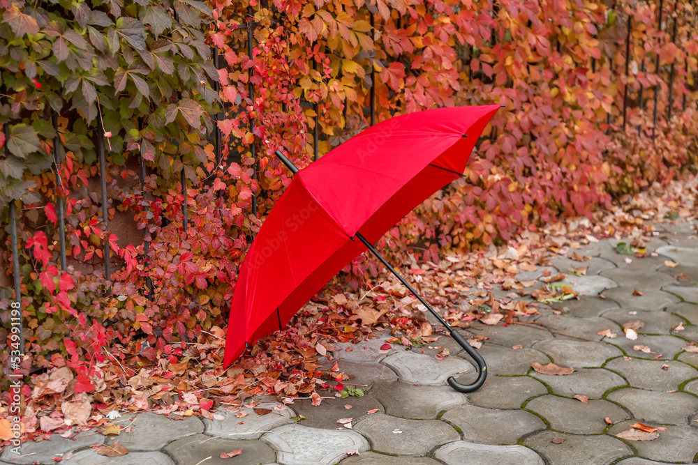 时尚明亮的户外雨伞