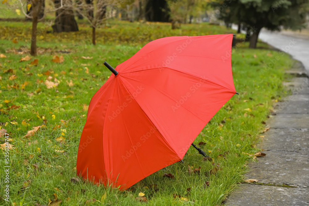 Stylish bright umbrella outdoors