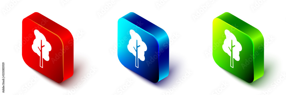 Isometric Tree icon isolated on white background. Forest symbol. Red, blue and green square button. 