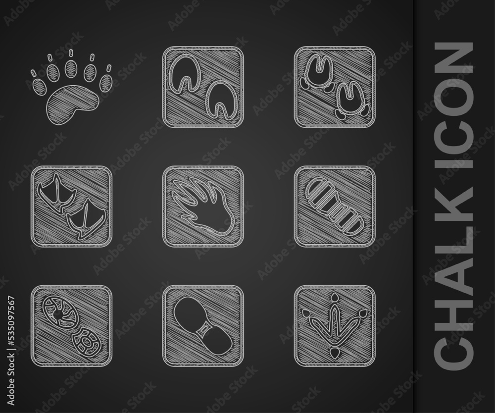 Set Alligator crocodile footprint, Human footprints shoes, Chicken paw, Seagull, Wild boar and Bear 