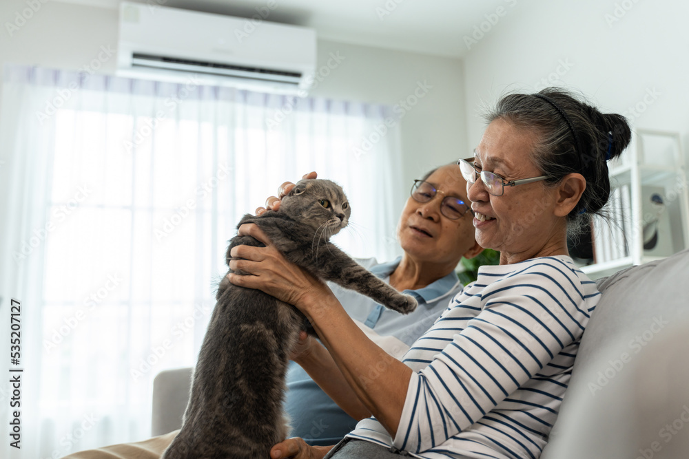 亚洲高级夫妇在客厅里抚摸家猫玩耍。