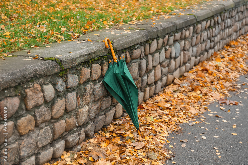 Stylish bright umbrella outdoors