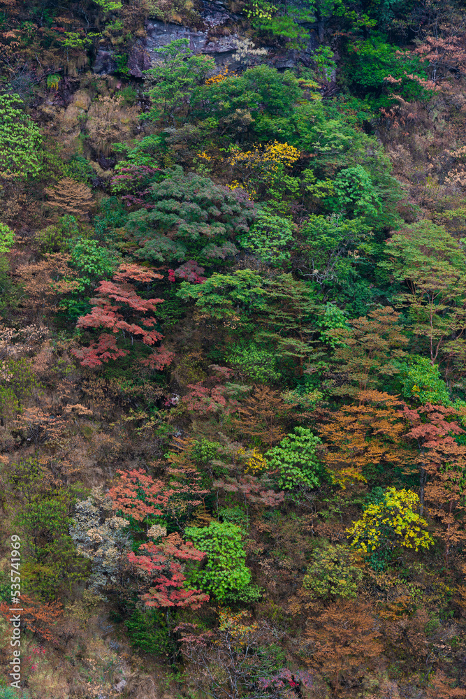 中国江西萍乡武功山自然风景区初秋风光