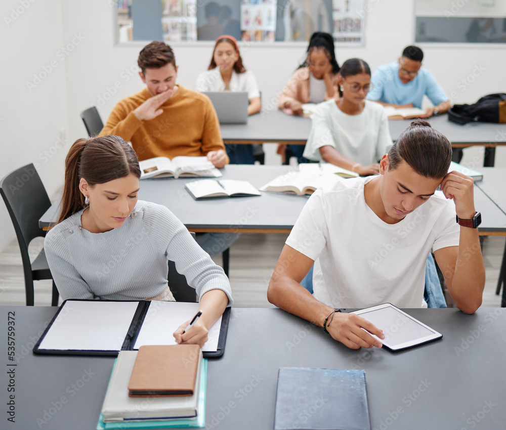 多元化，学生和大学在课堂上学习，接受高等教育和培训。学生