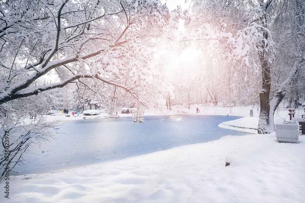 白雪皑皑的城市公园美丽的自然景观，明亮的w上有白雪覆盖的树木和结冰的池塘