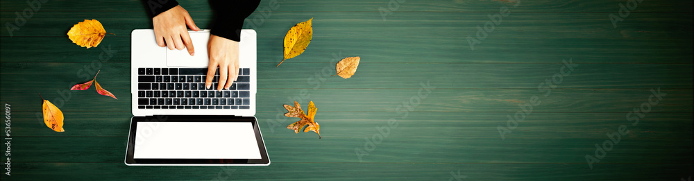 Autumn leaves with person using a laptop computer