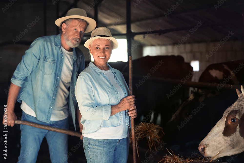 Portrait of mature farmers in cowshed